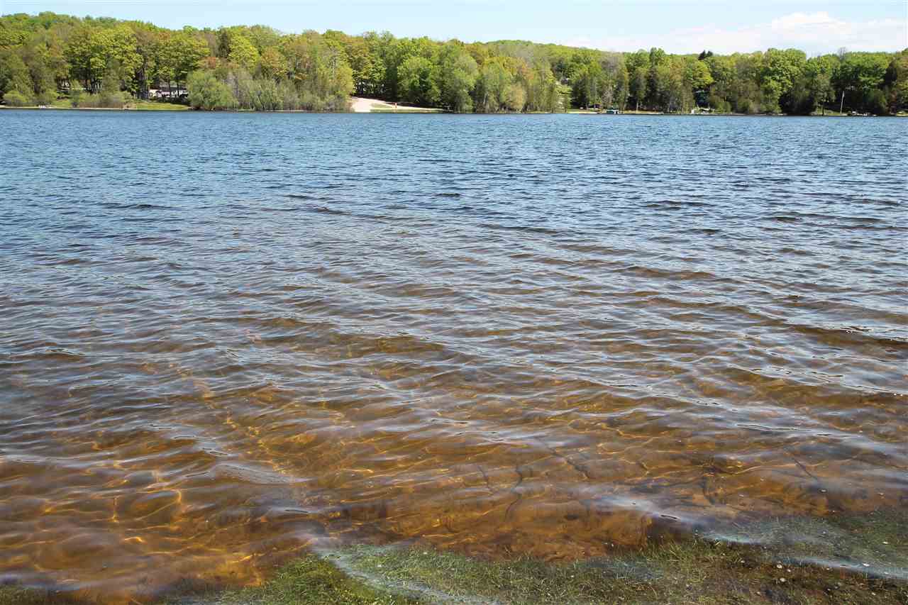 06348 Blue Gill Bend Ellsworth MI 49729