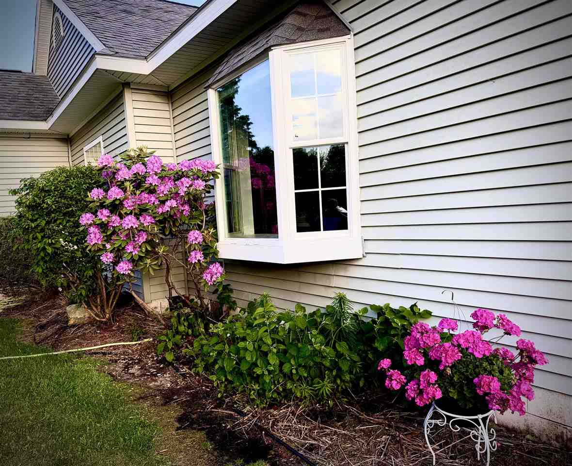 7443 Meadow Lane Bellaire MI 49615
