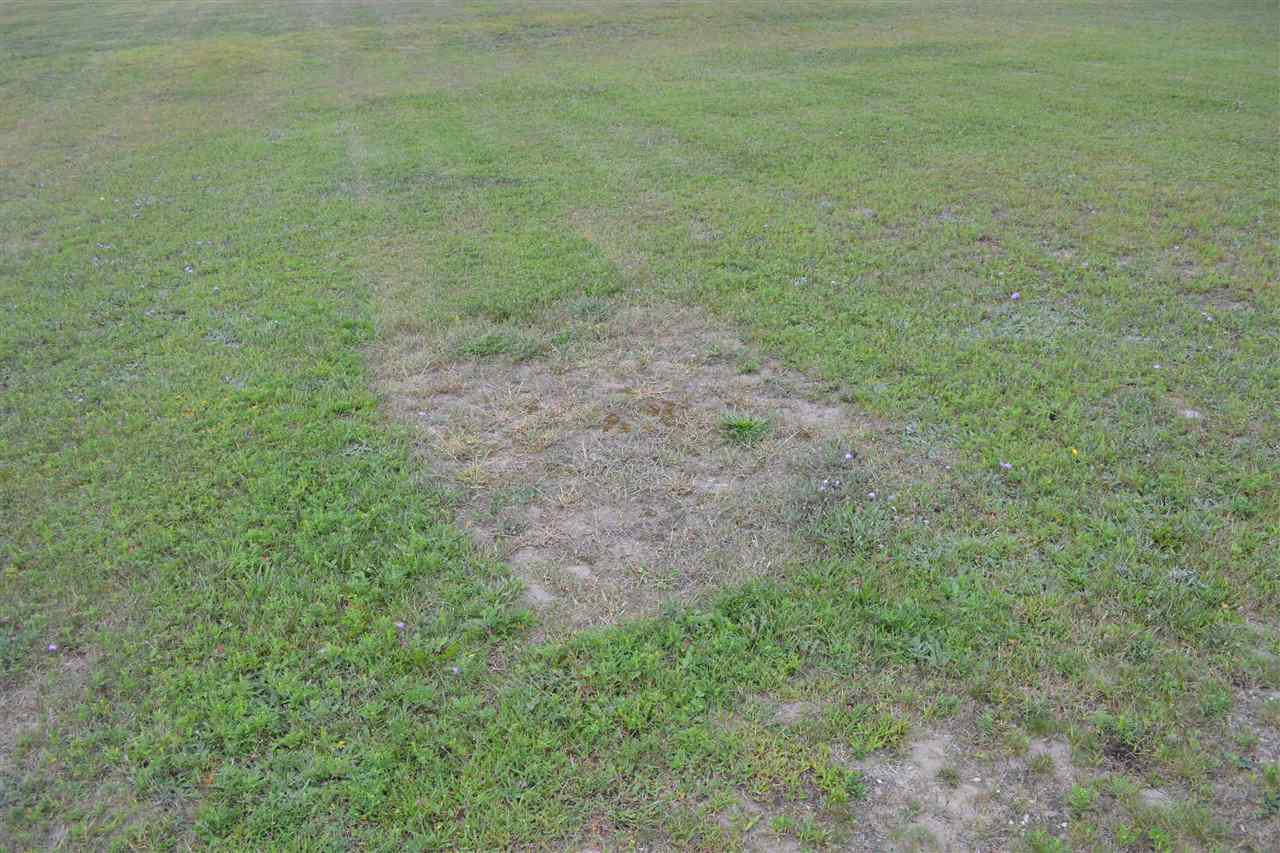 4256 Bartholomew Road East Jordan MI 49727