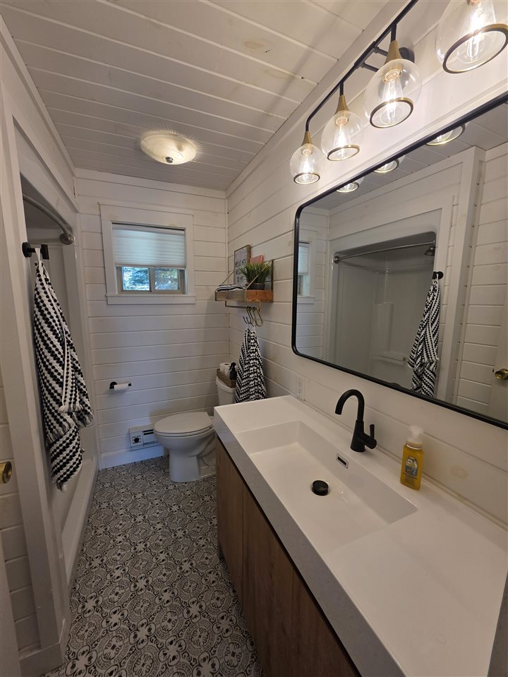 15966 Lakeview Drive Wolverine MI 49799