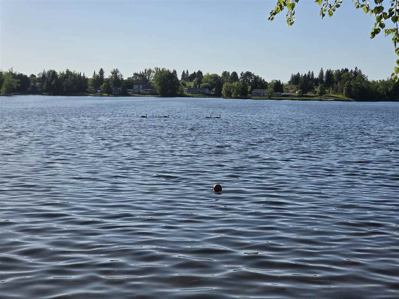 15966 Lakeview Drive Wolverine MI 49799