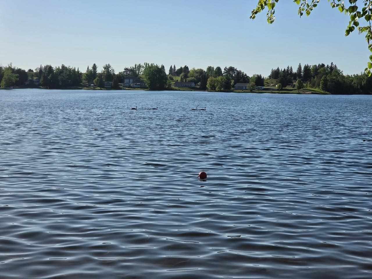 15966 Lakeview Drive Wolverine MI 49799