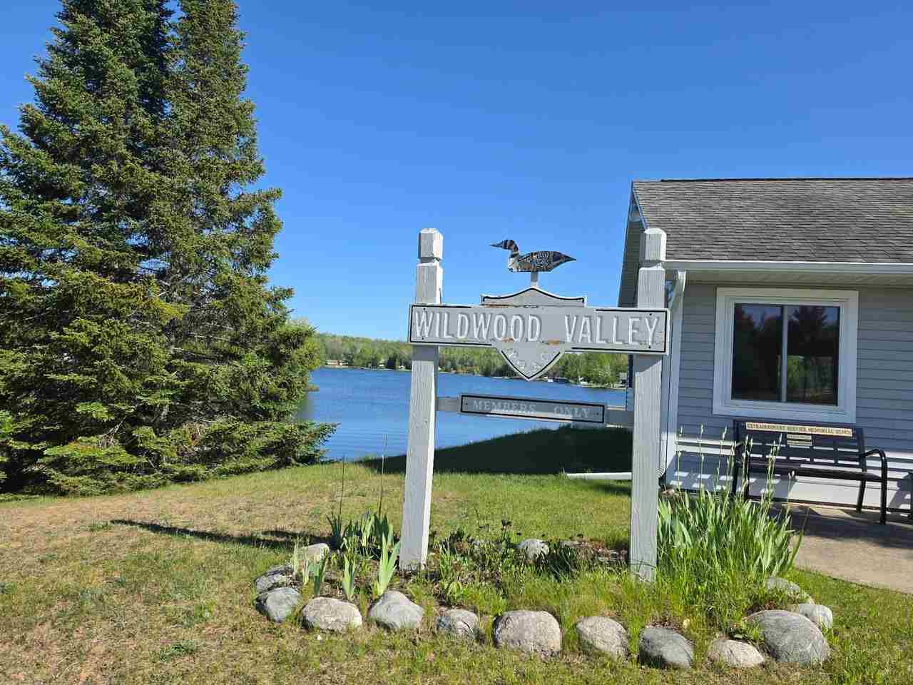 15966 Lakeview Drive Wolverine MI 49799