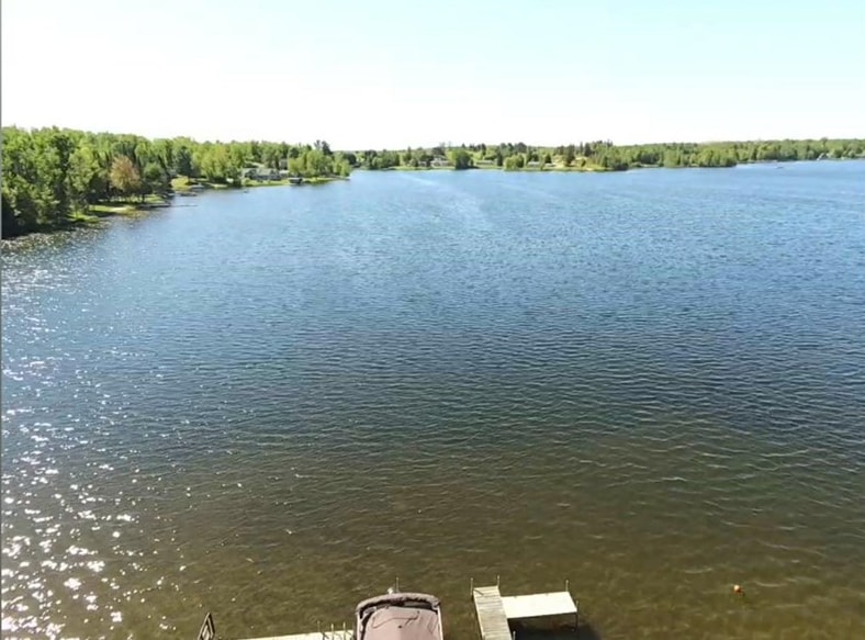 15966 Lakeview Drive Wolverine MI 49799