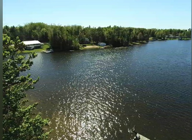 15966 Lakeview Drive Wolverine MI 49799