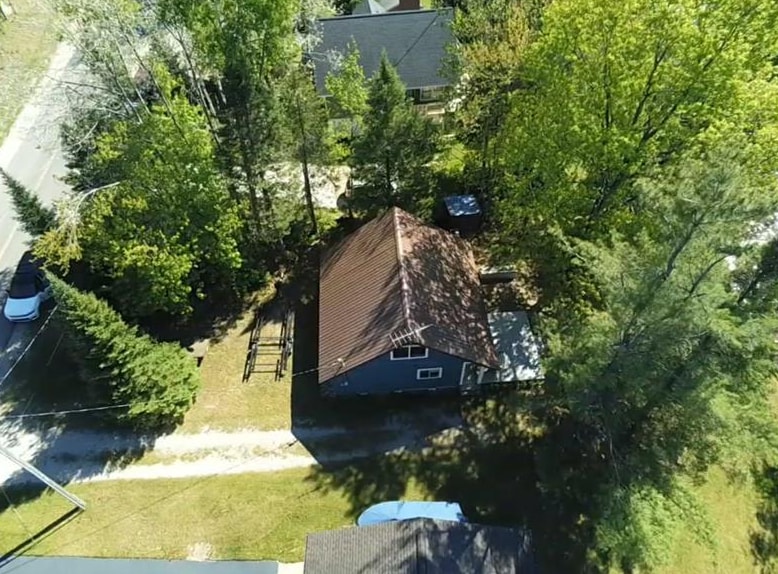 15966 Lakeview Drive Wolverine MI 49799