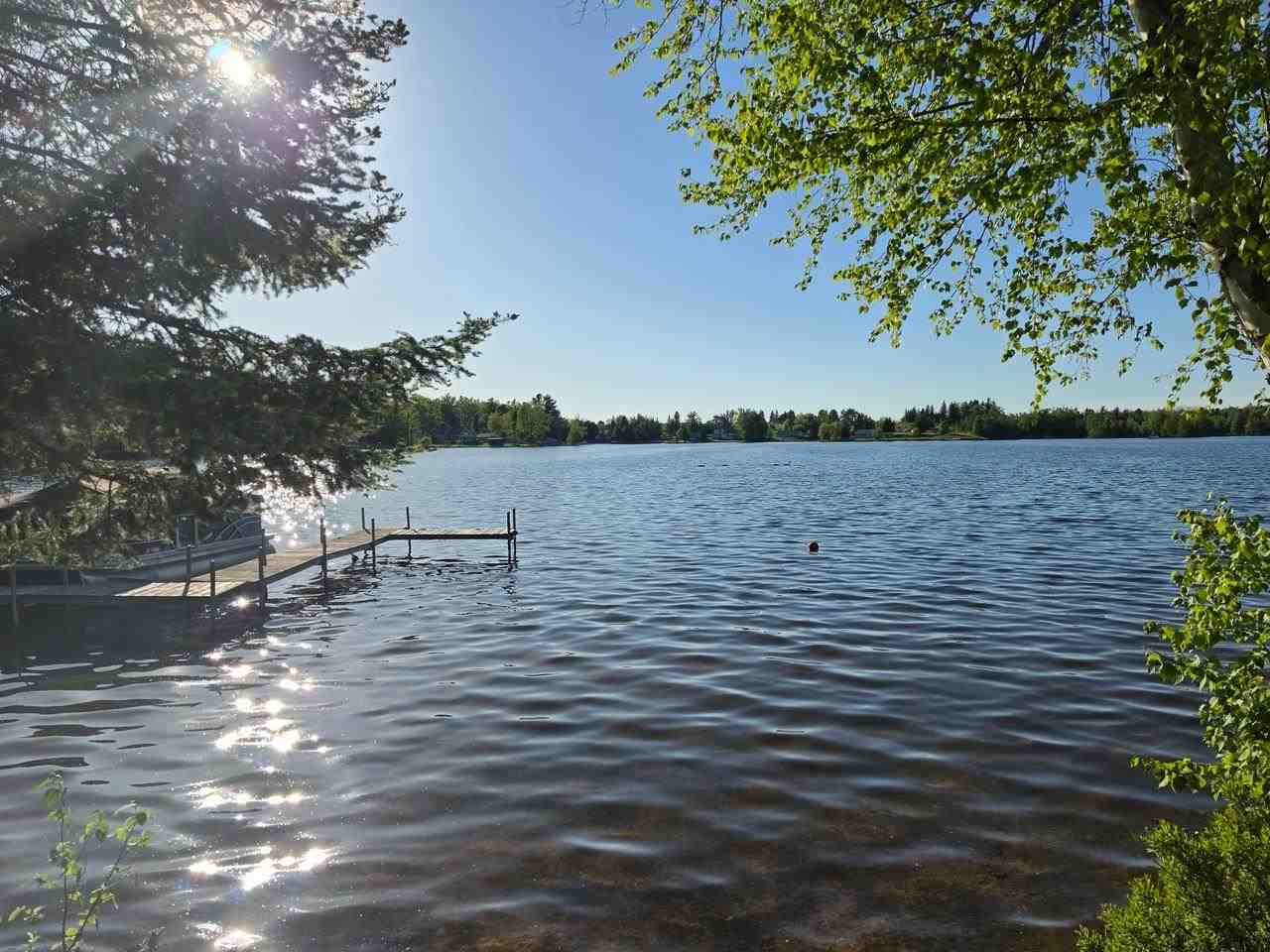 15966 Lakeview Drive Wolverine MI 49799