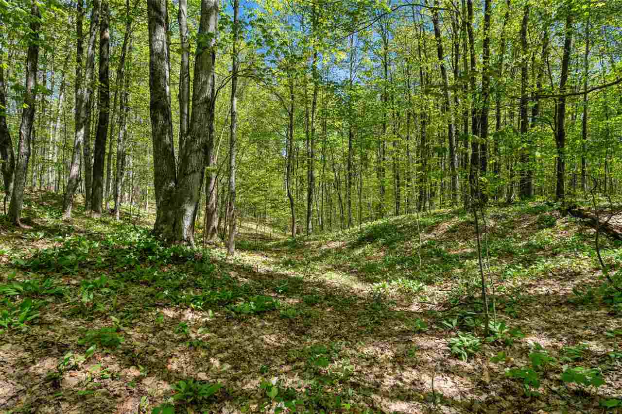 1370 Garber Road Levering MI 49755
