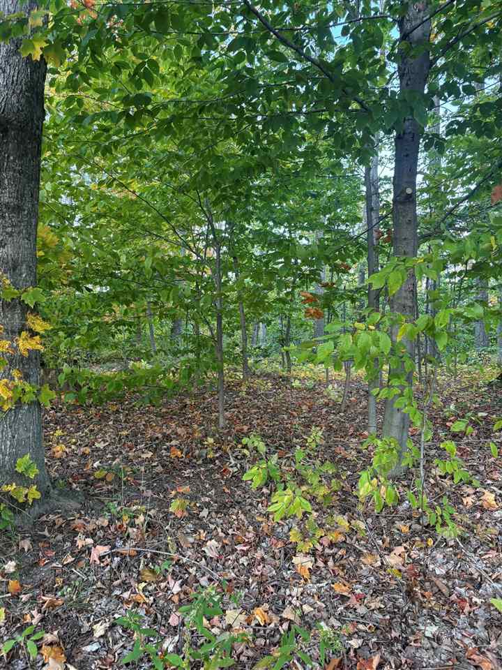 4840 Turfway Trail Harbor Springs MI 49740