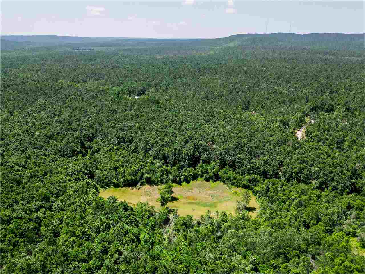 1133 W Thumb Lake Road Vanderbilt MI 49795