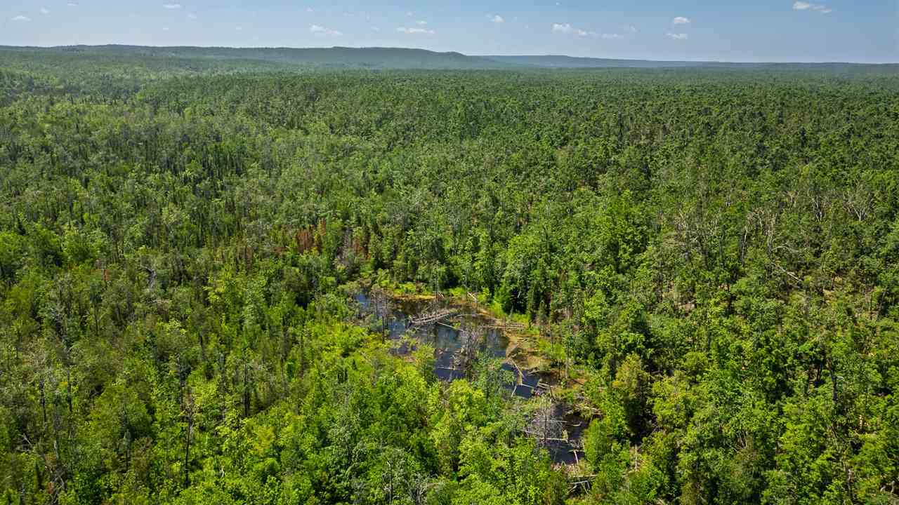 1133 W Thumb Lake Road Vanderbilt MI 49795