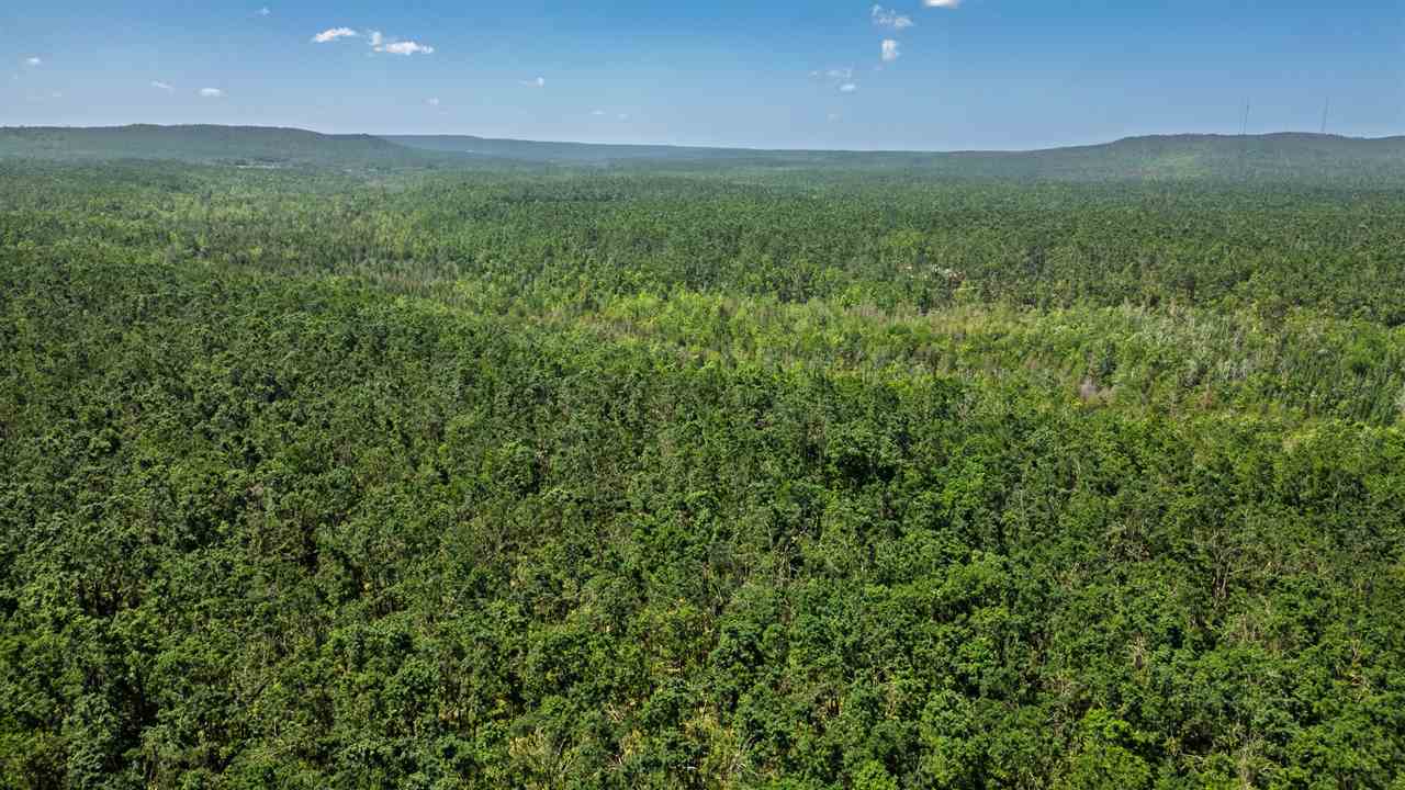 1133 W Thumb Lake Road Vanderbilt MI 49795