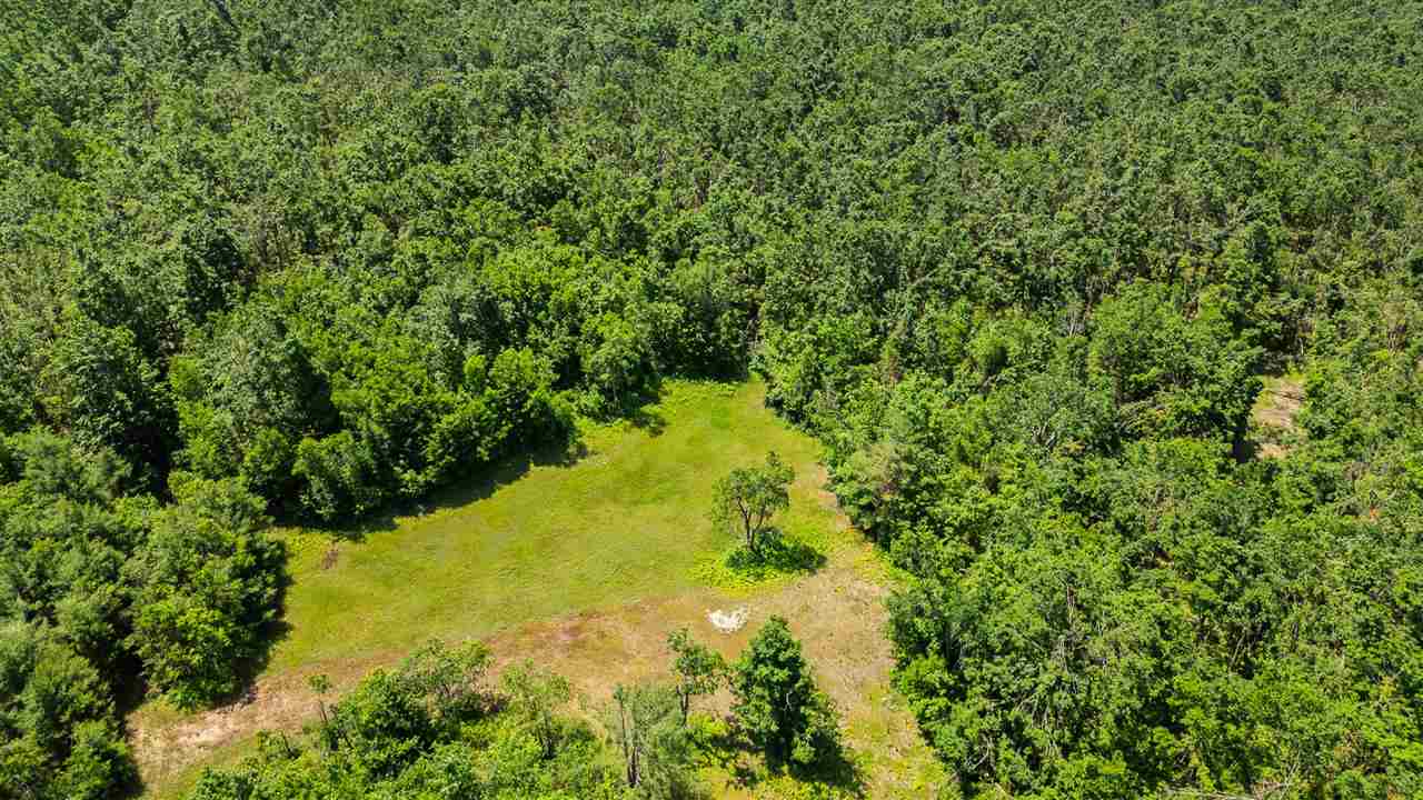1133 W Thumb Lake Road Vanderbilt MI 49795