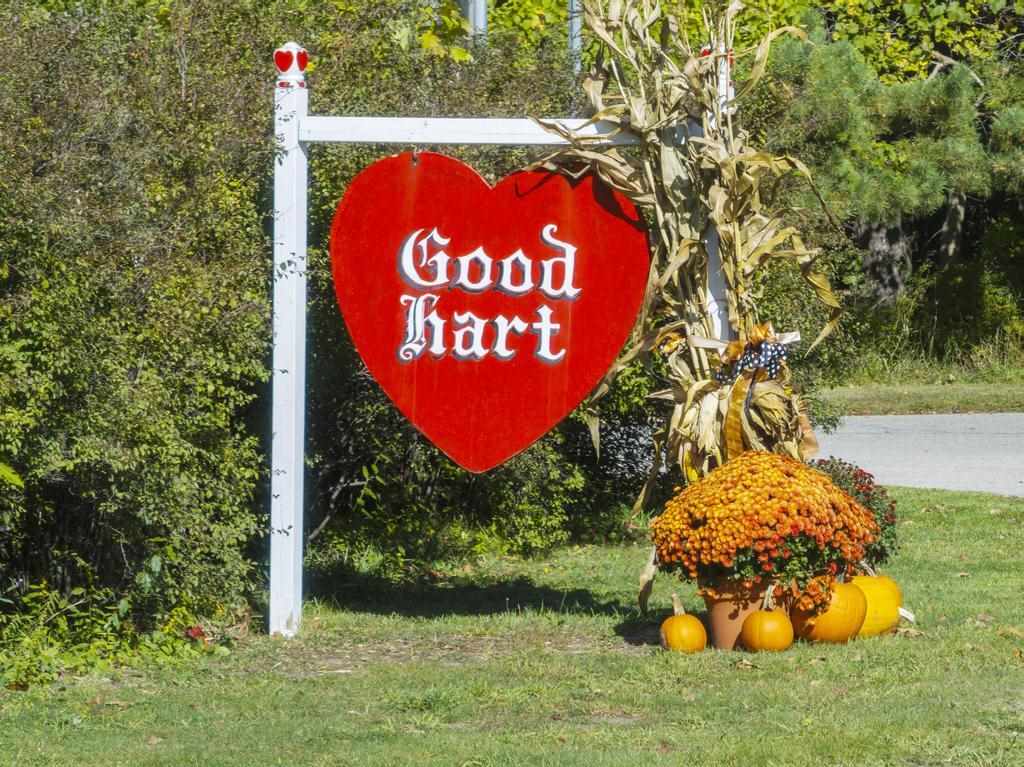 1023 N Lake Shore Drive Harbor Springs MI 49740