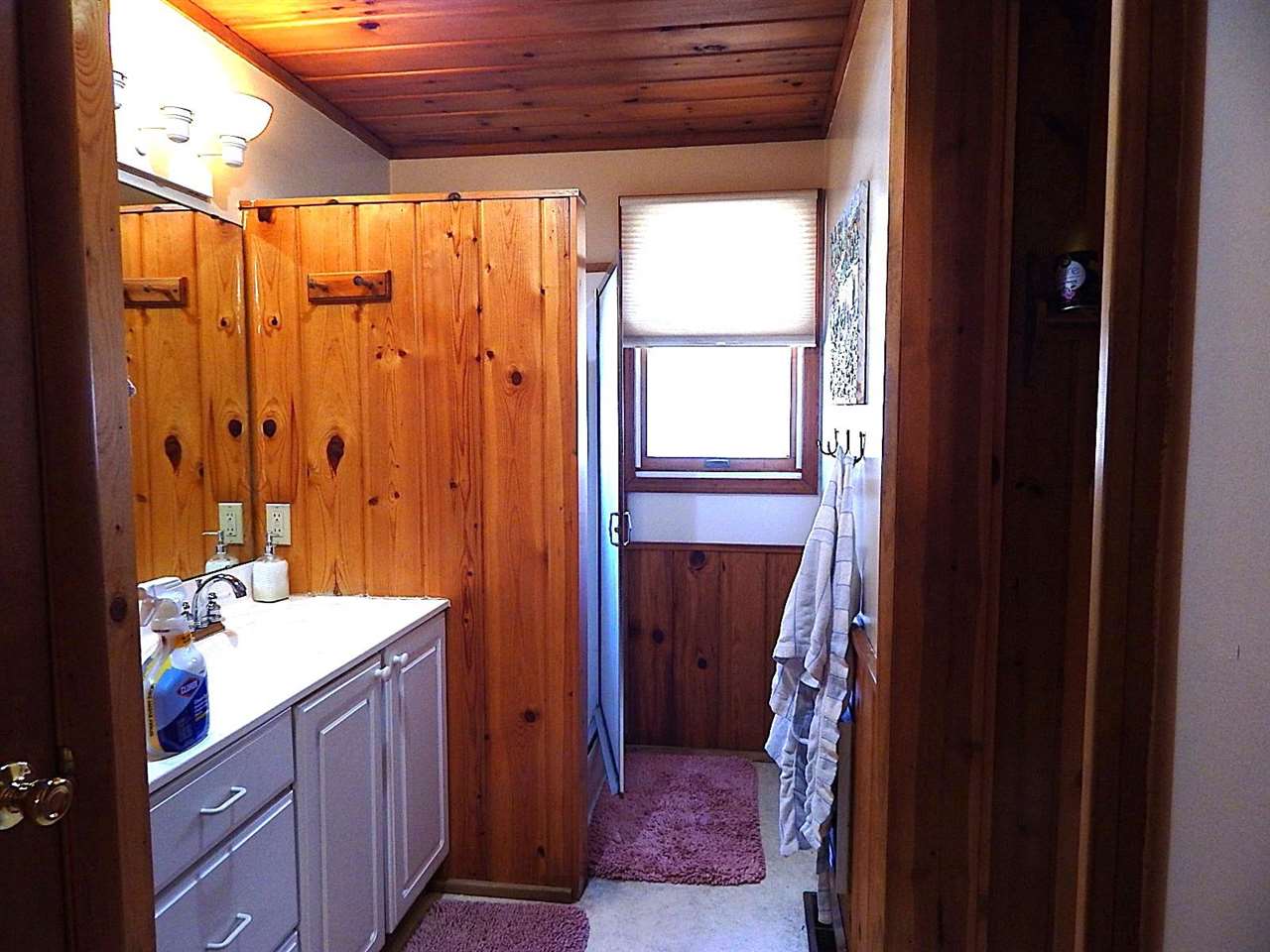 6098 Pickerbush Alanson MI 49706