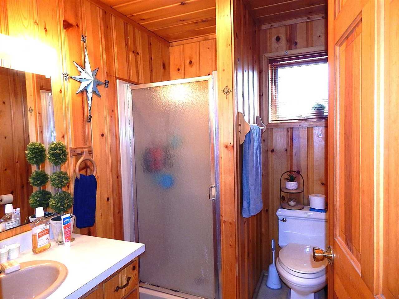 6098 Pickerbush Alanson MI 49706