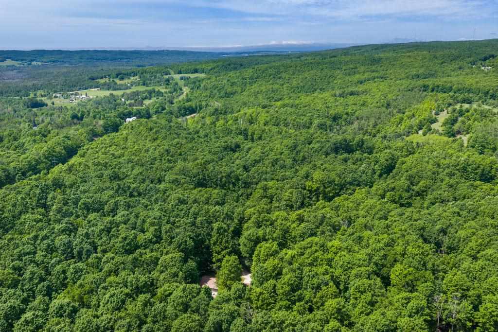 4744 Lintlong Road Petoskey MI 49770