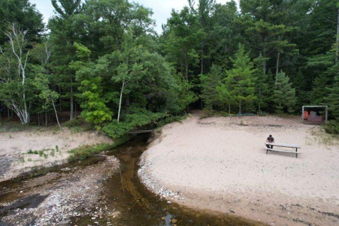 13316 Timberlane Drive Ellsworth MI 49729