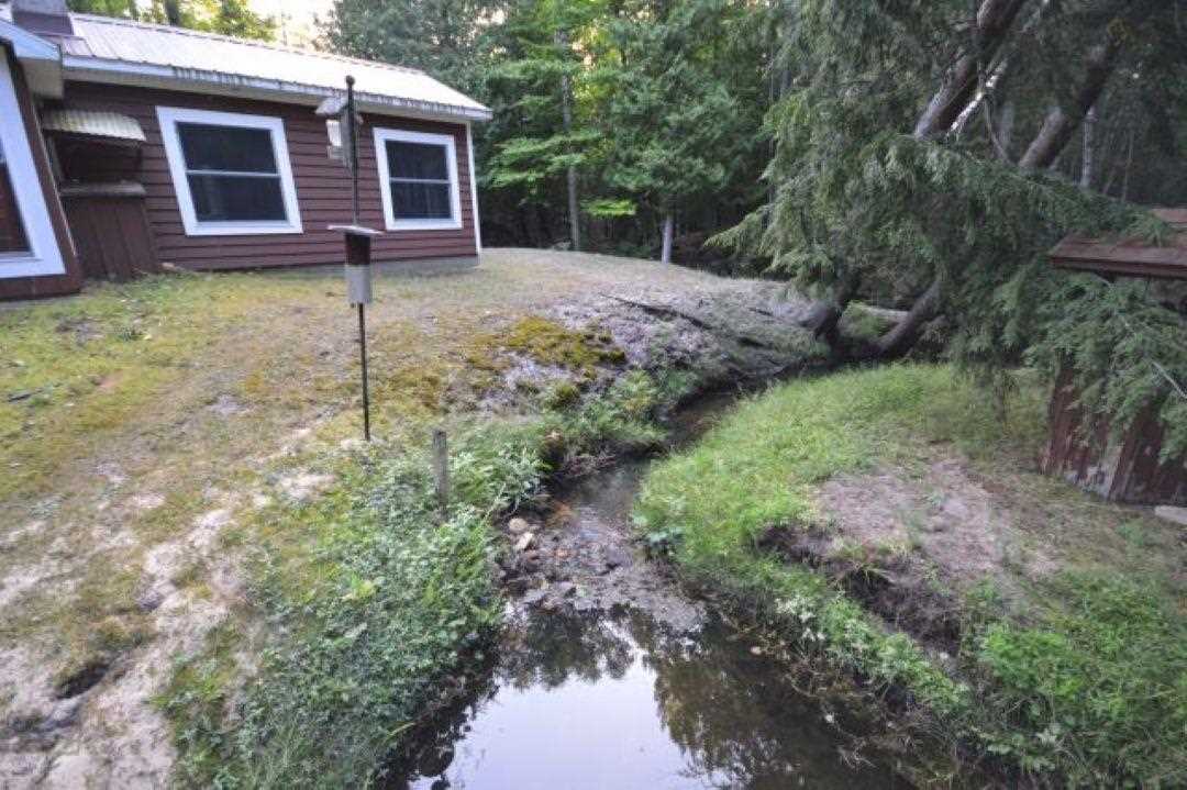 13316 Timberlane Drive Ellsworth MI 49729