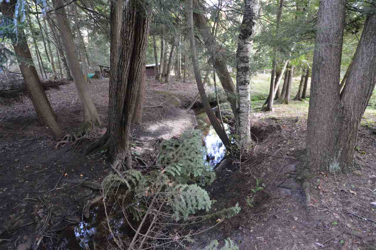 13316 Timberlane Drive Ellsworth MI 49729