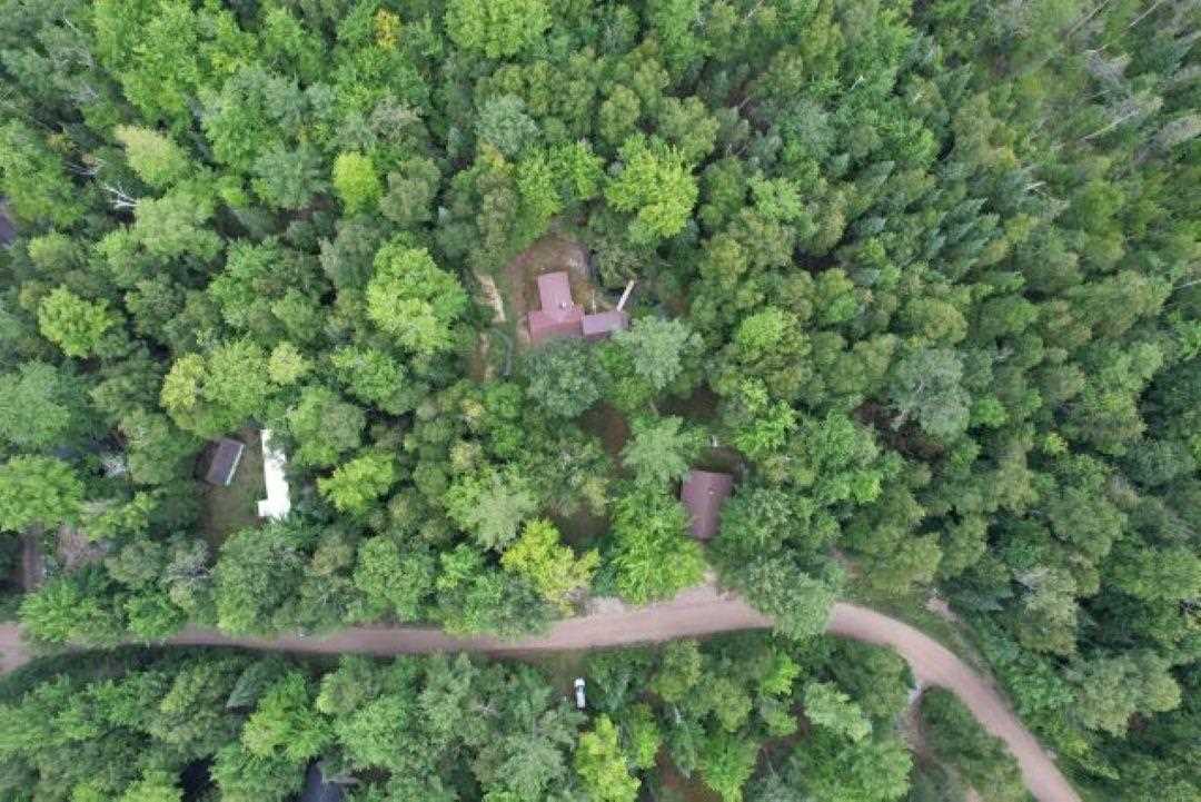 13316 Timberlane Drive Ellsworth MI 49729