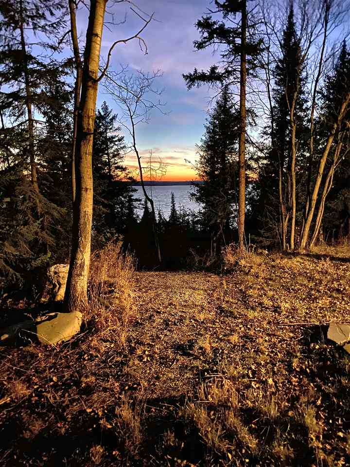 09294 Woods Road Charlevoix MI 49720