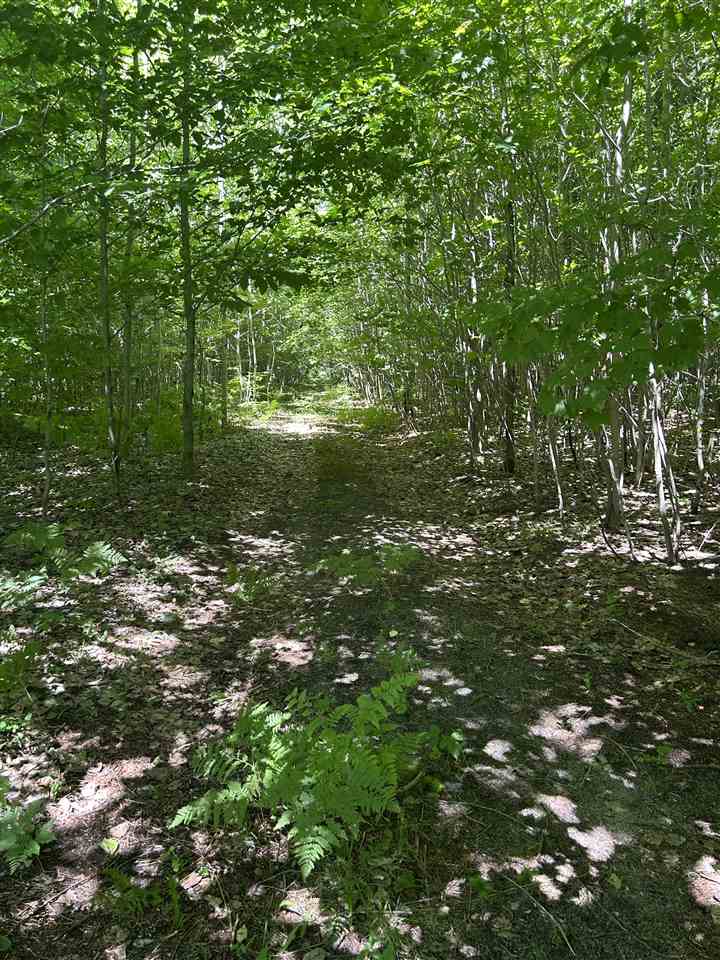 2263 Elder Road Carp Lake MI 49718