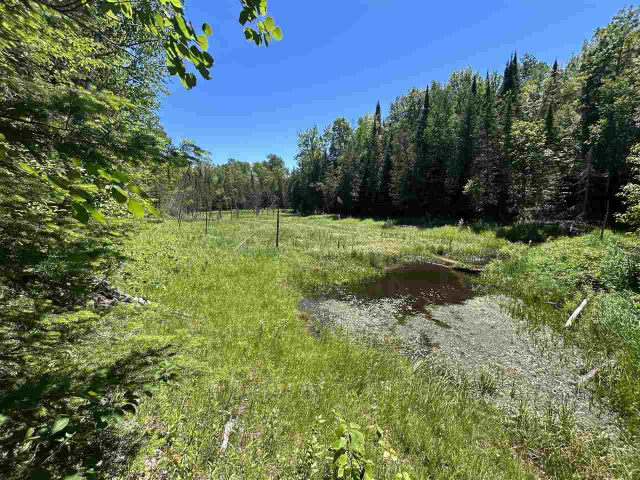 2263 Elder Road Carp Lake MI 49718