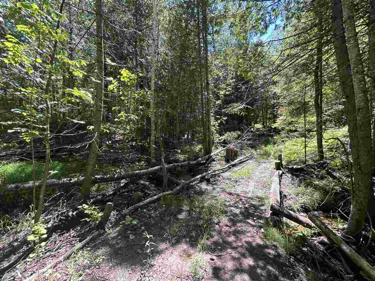 2263 Elder Road Carp Lake MI 49718