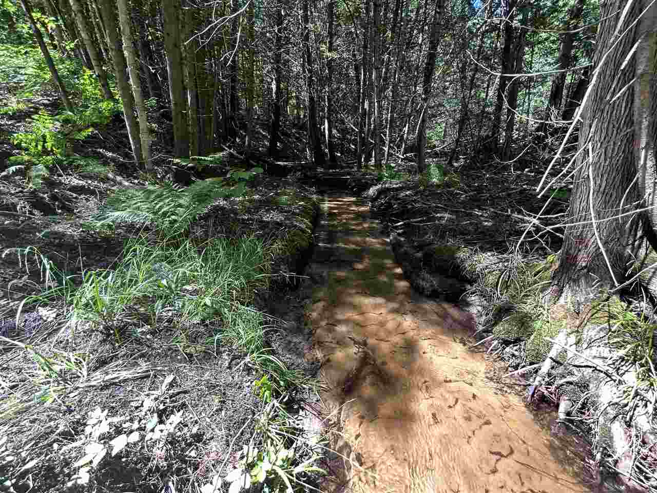 2263 Elder Road Carp Lake MI 49718