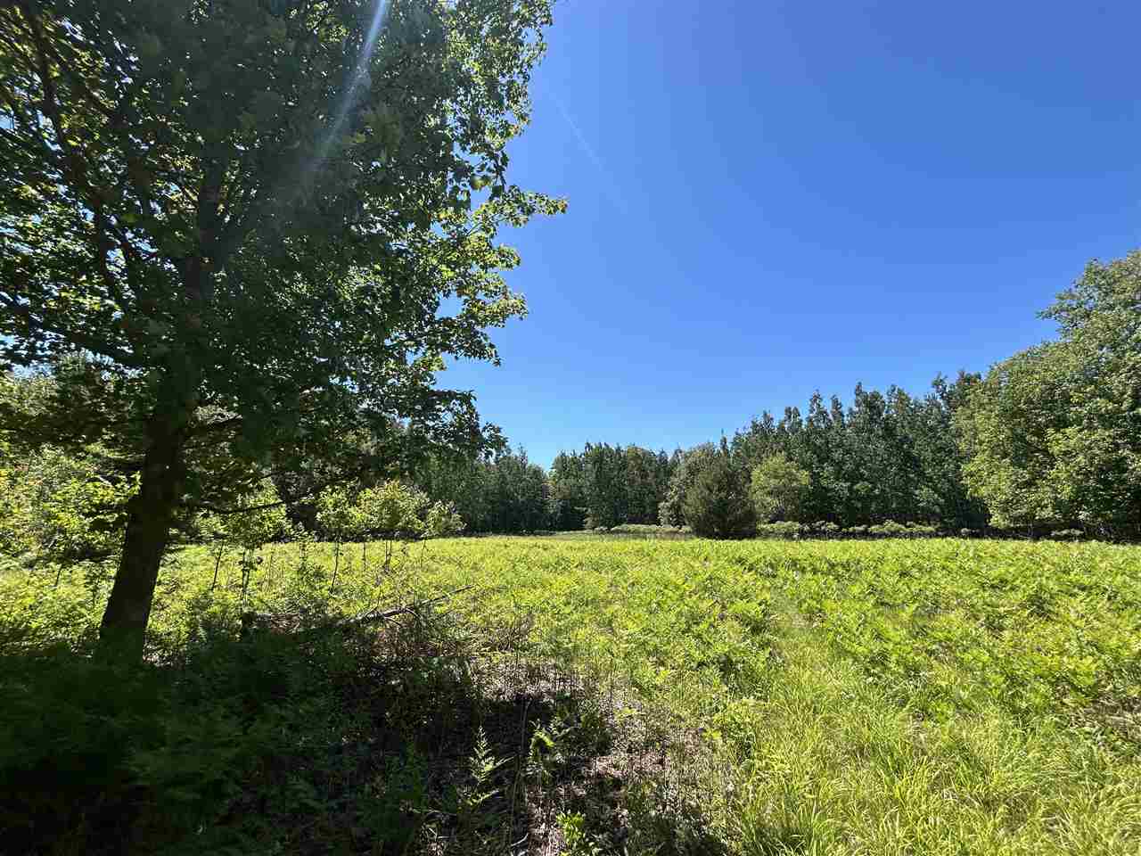 2263 Elder Road Carp Lake MI 49718