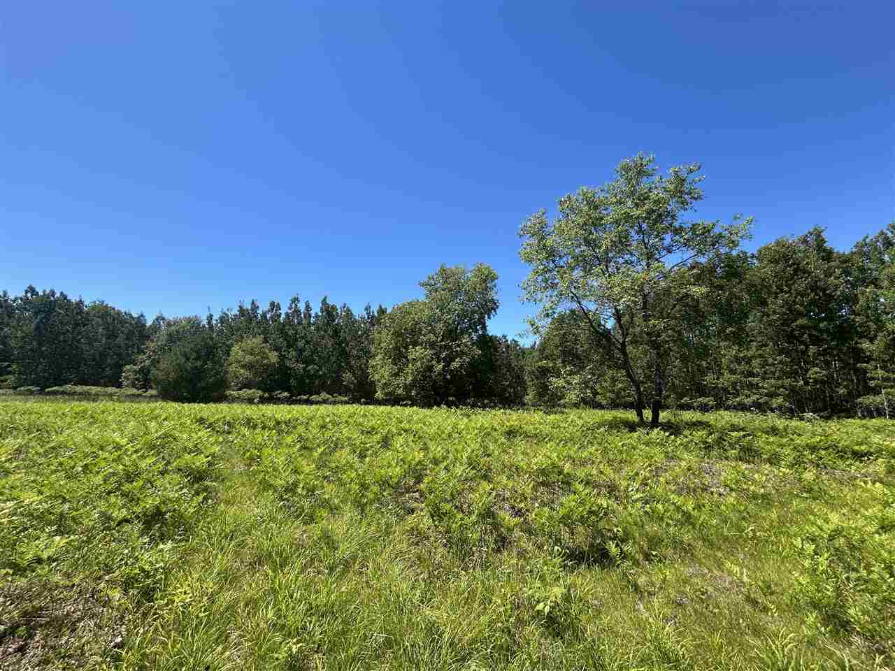 2263 Elder Road Carp Lake MI 49718