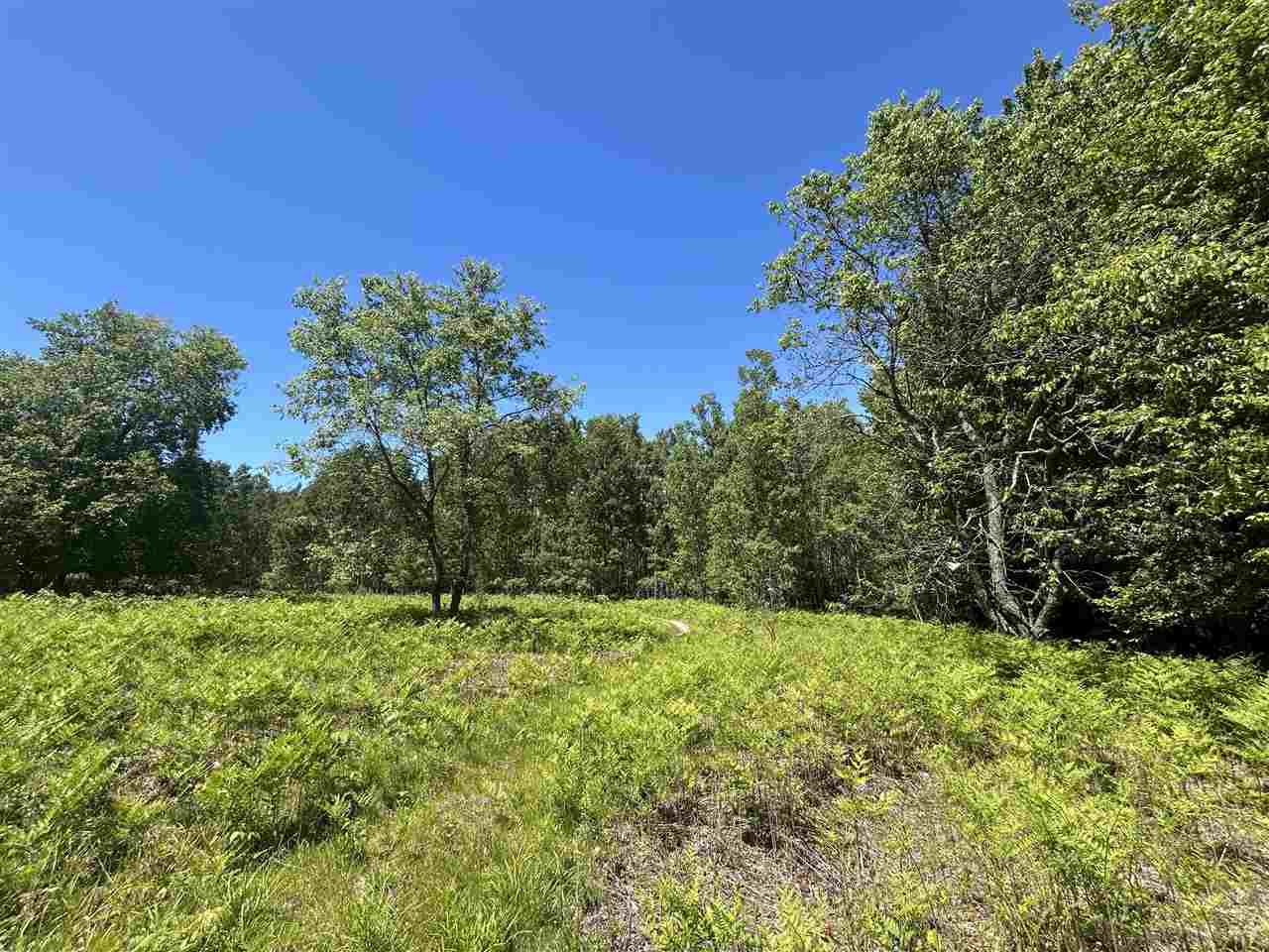 2263 Elder Road Carp Lake MI 49718