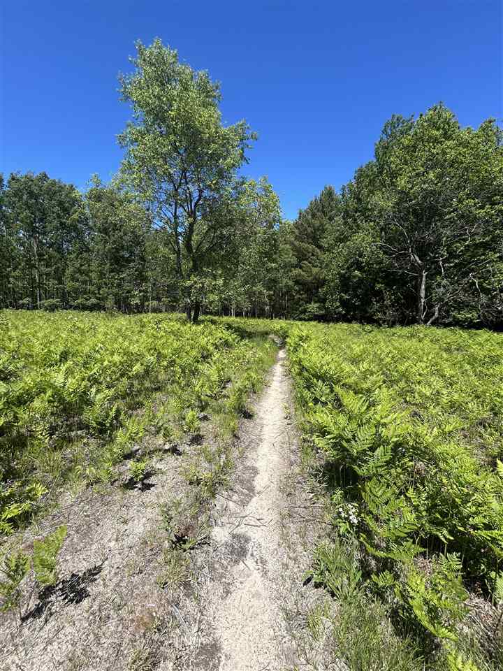 2263 Elder Road Carp Lake MI 49718