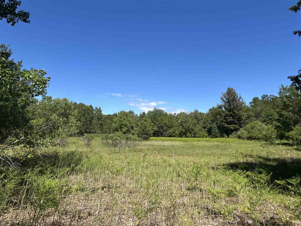 2263 Elder Road Carp Lake MI 49718