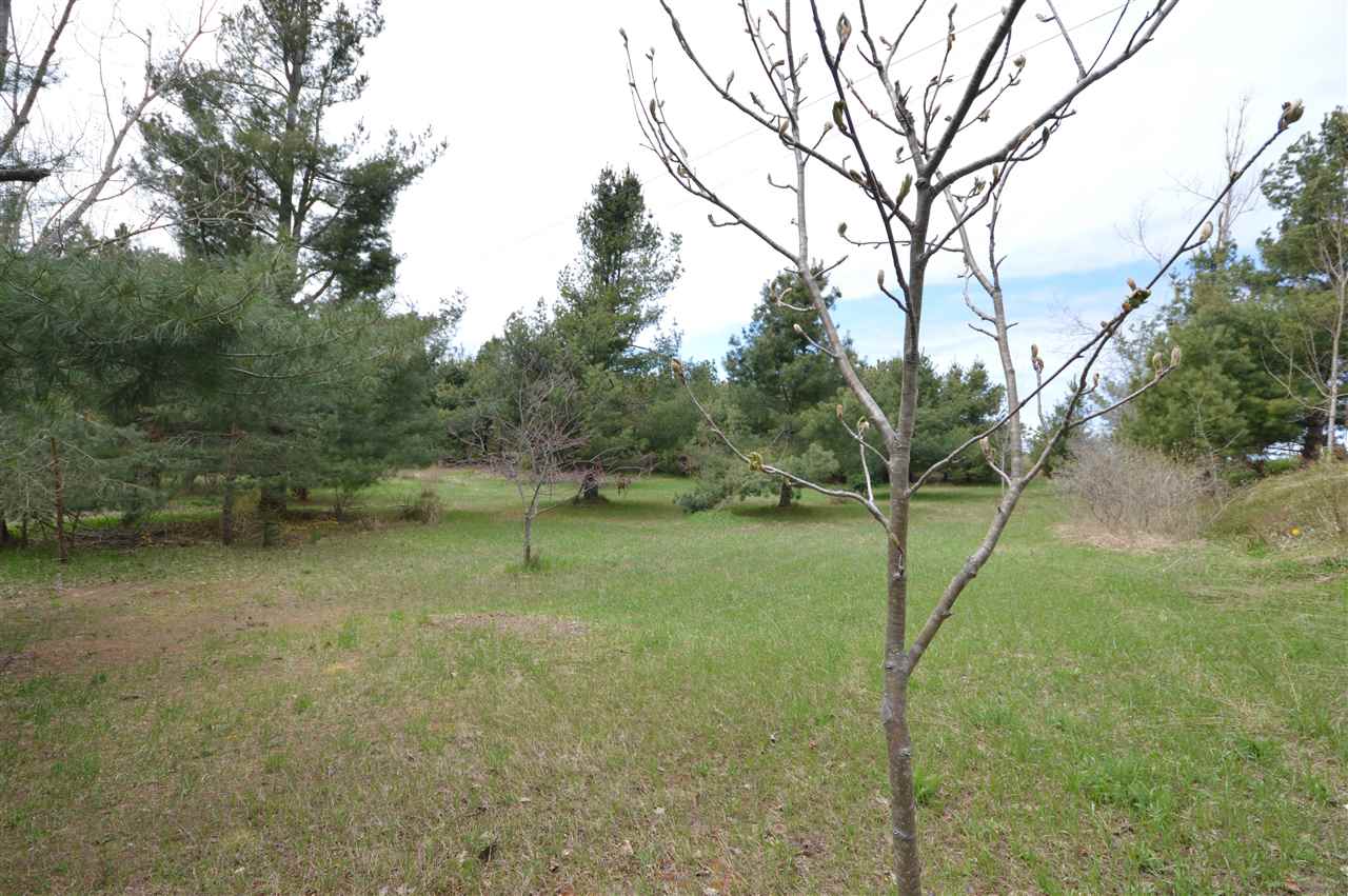 10596 Pincherry Road Charlevoix MI 49720