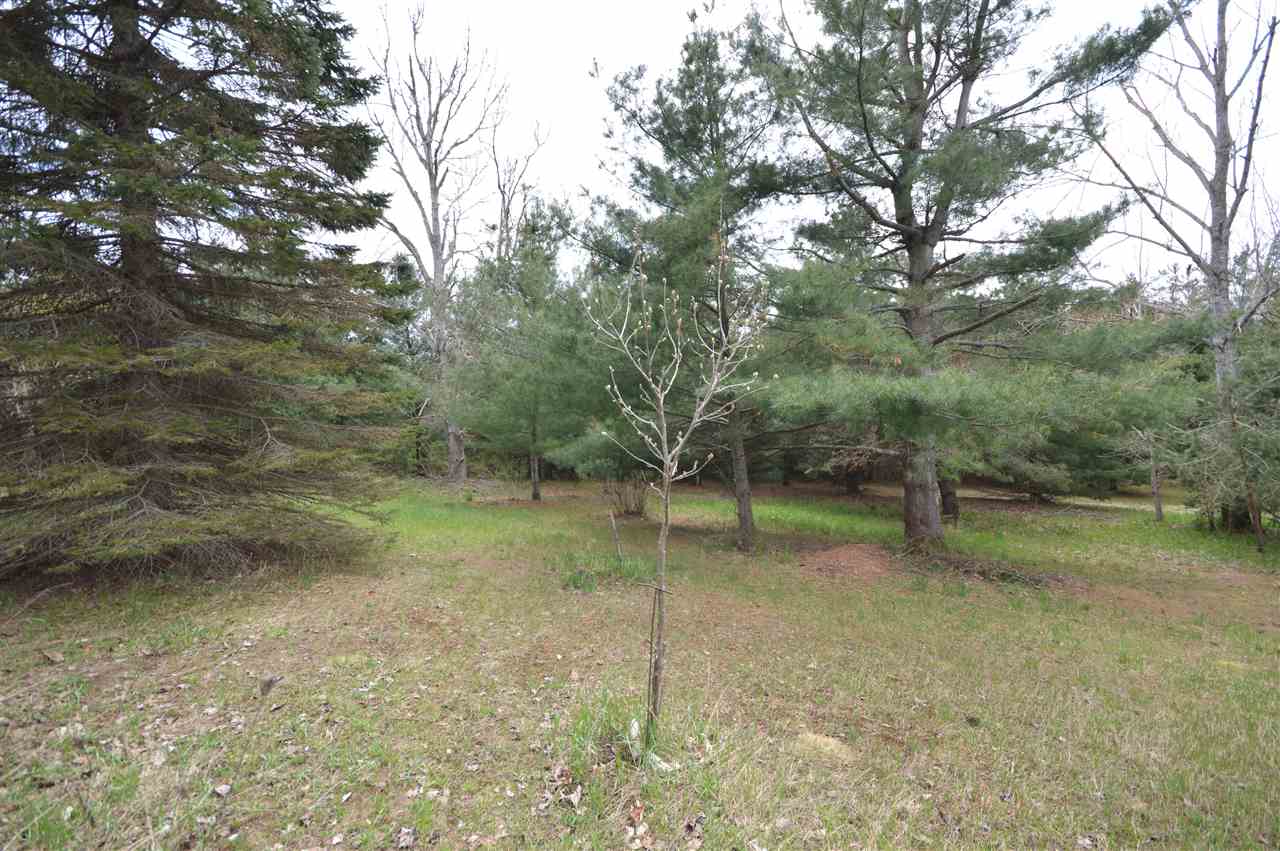 10596 Pincherry Road Charlevoix MI 49720