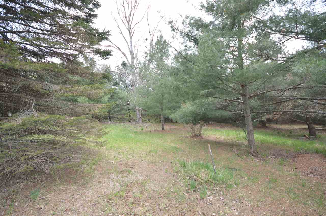 10596 Pincherry Road Charlevoix MI 49720