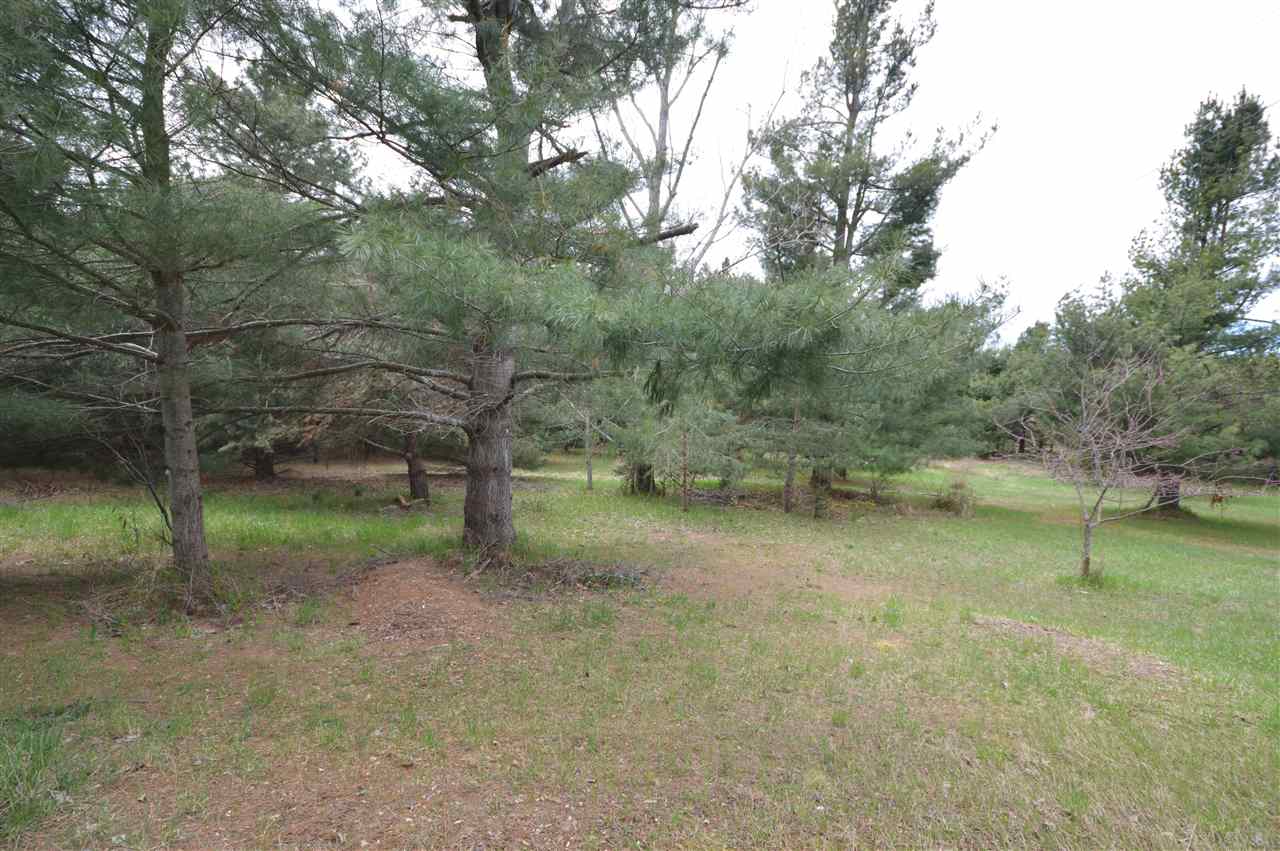 10596 Pincherry Road Charlevoix MI 49720