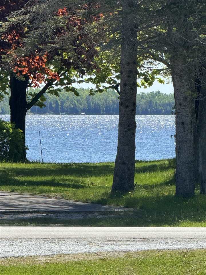 6325 Paradise Trail Carp Lake MI 49718