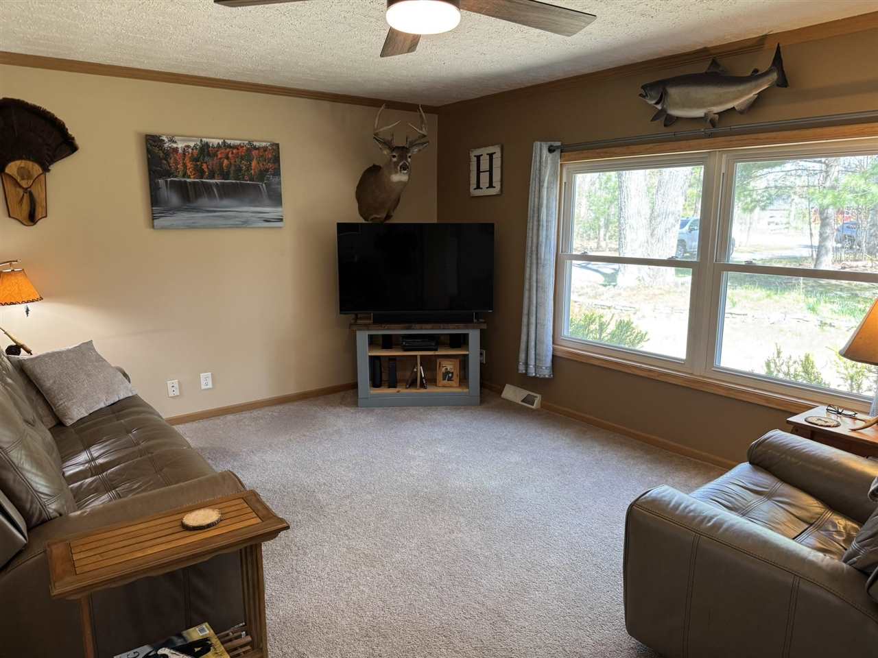 6708 Tremble Trail Pellston MI 49769