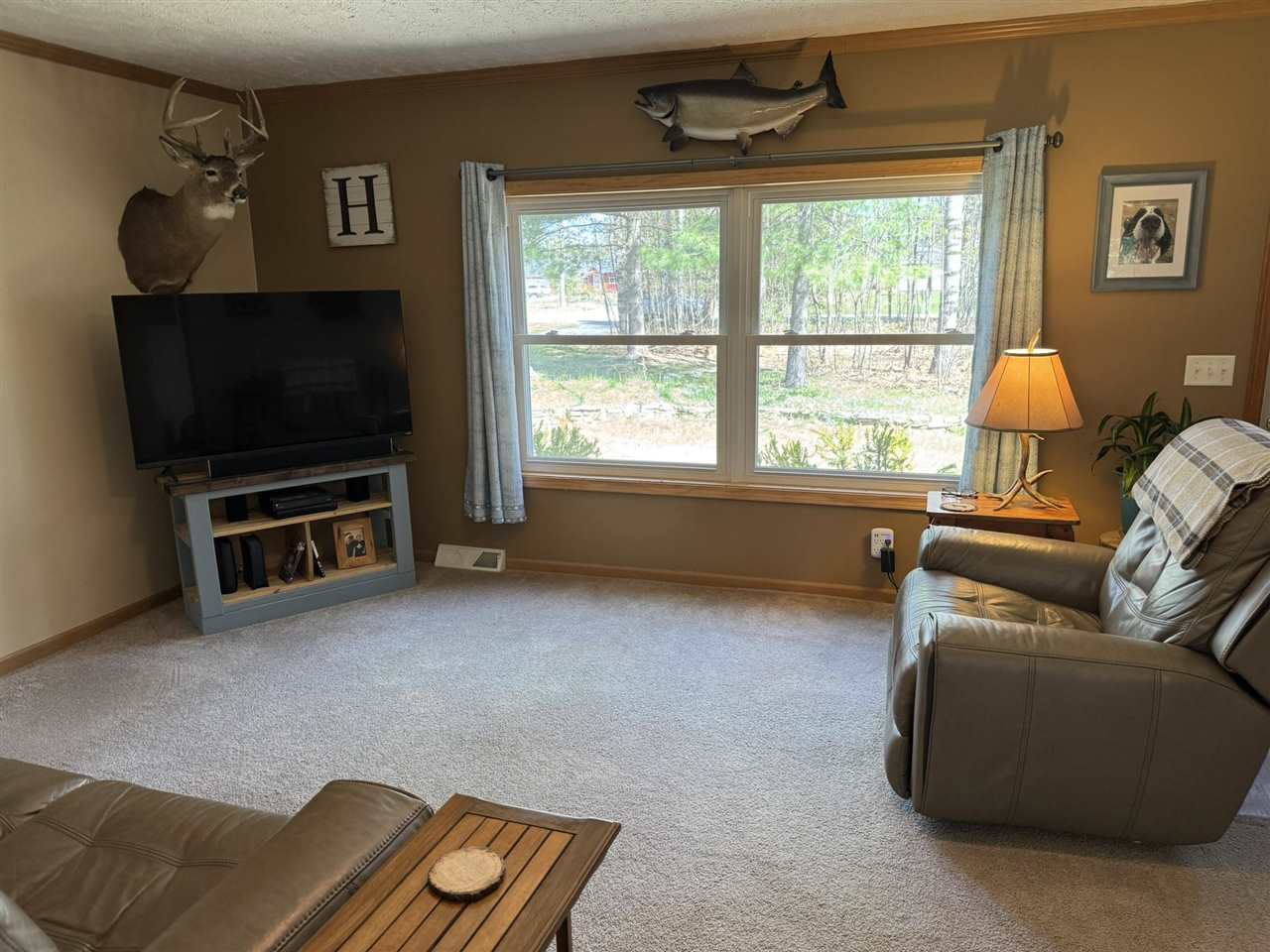 6708 Tremble Trail Pellston MI 49769
