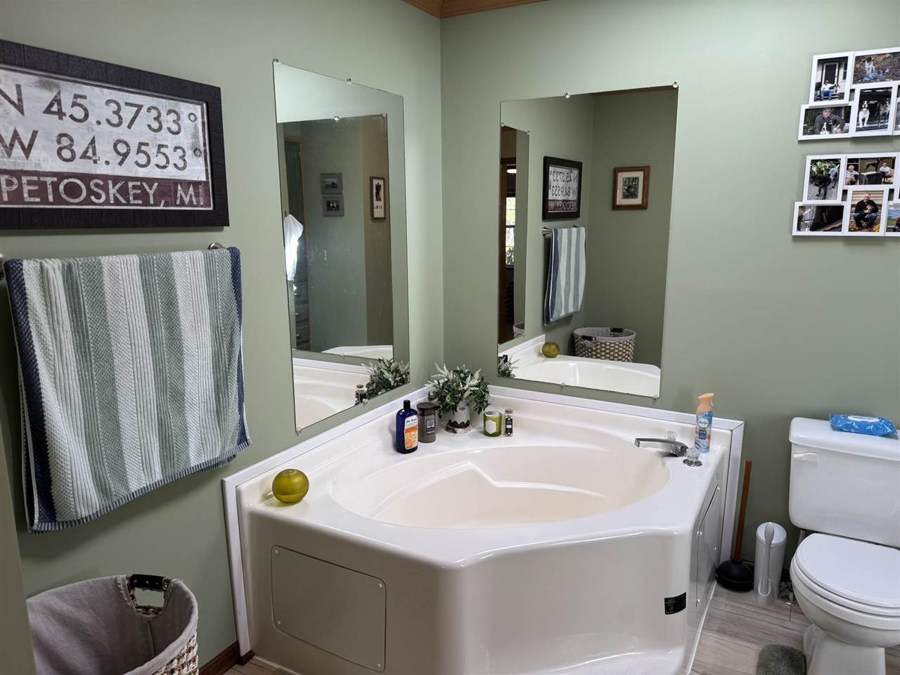 6708 Tremble Trail Pellston MI 49769