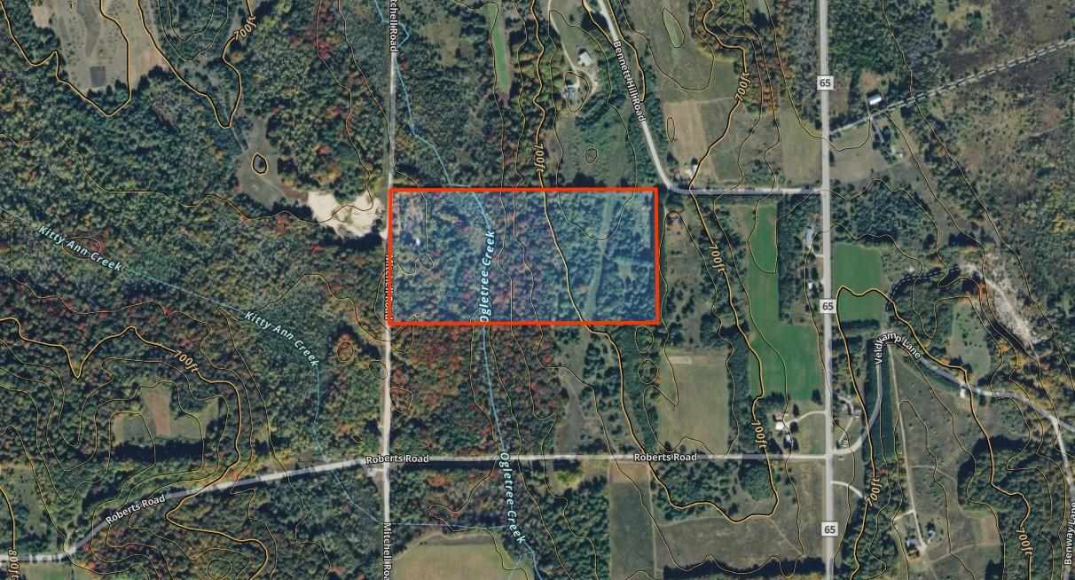 5218 Mitchell Road Central Lake MI 49622