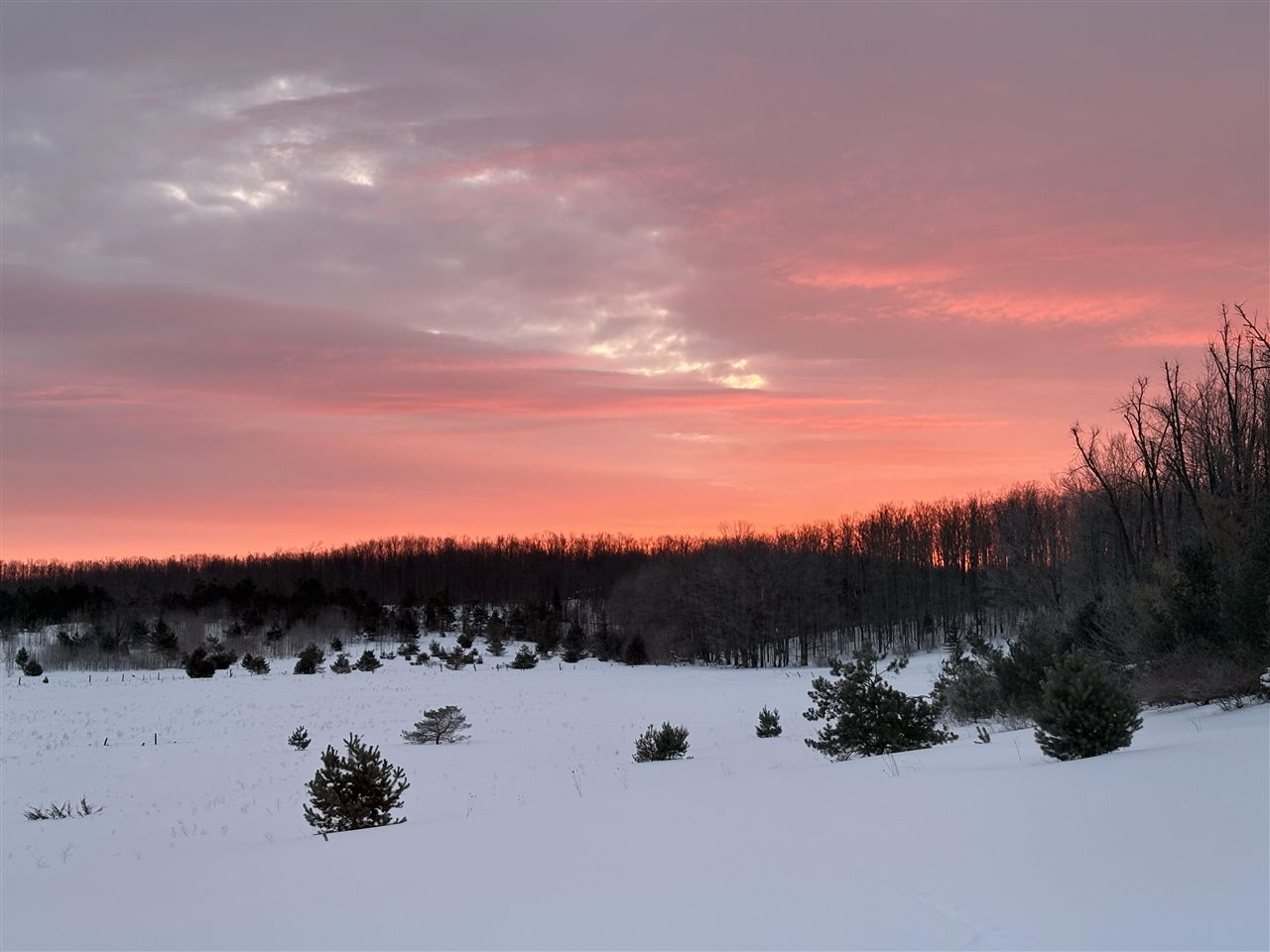 3227 Cemetery Road Petoskey MI 49770