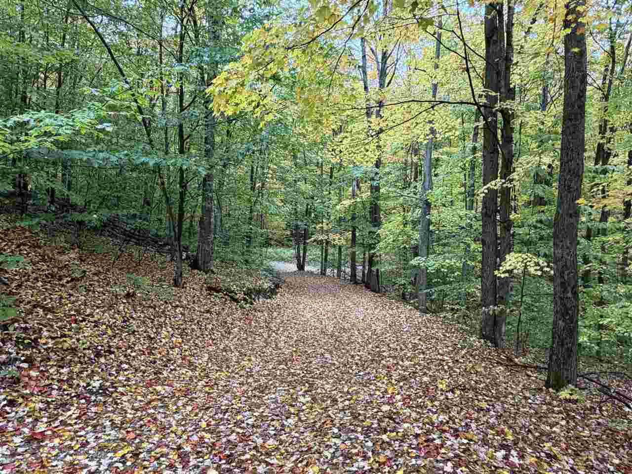 2241 Heartwood Drive East Jordan MI 49727
