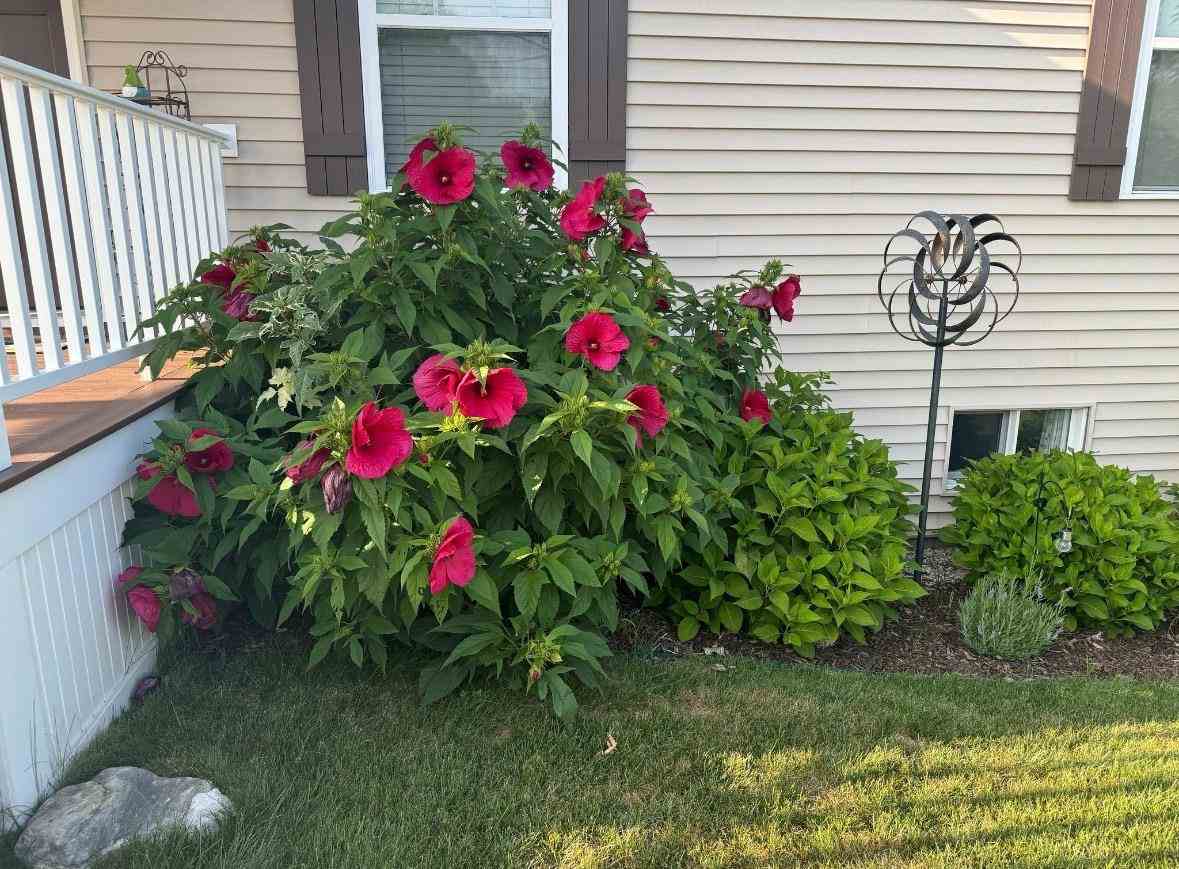 201 Franklin Street Boyne City MI 49712