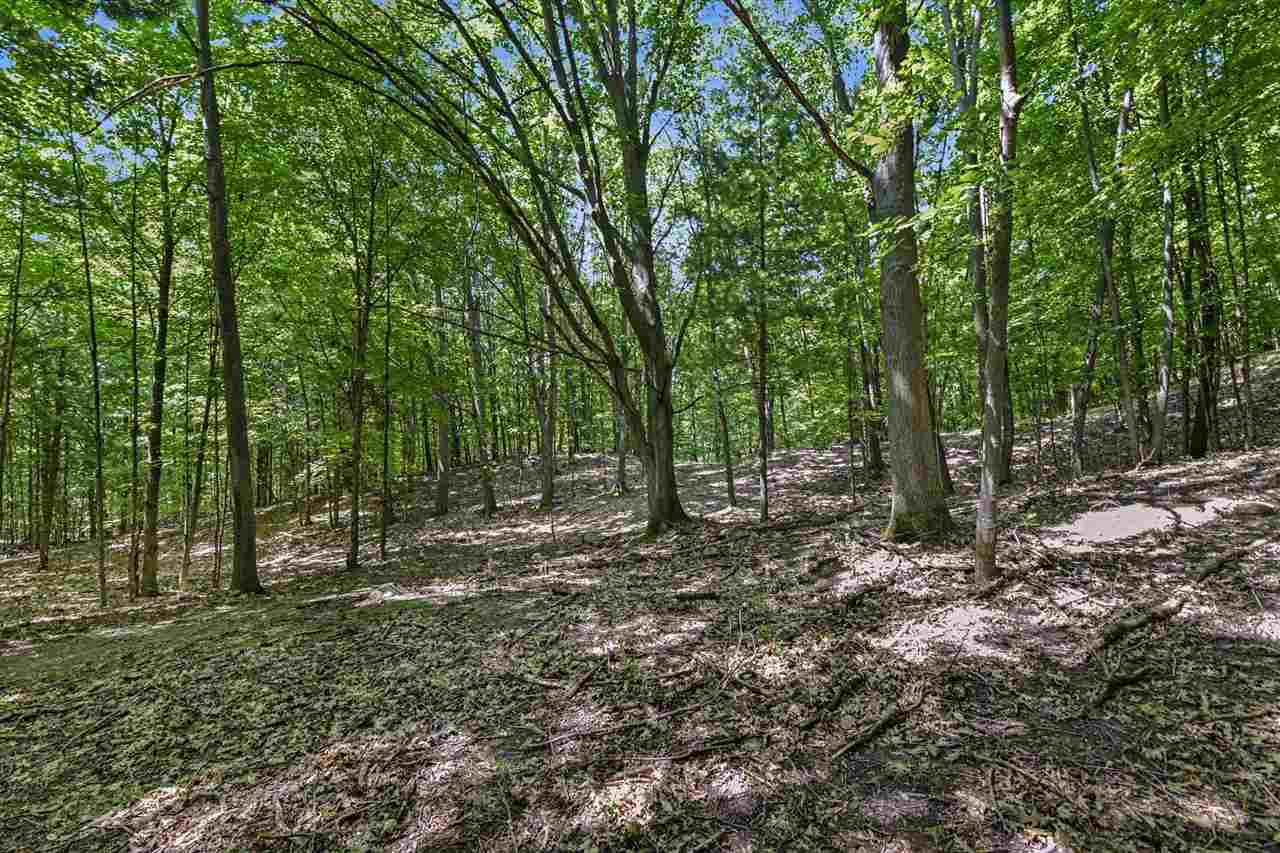 10460 Camp Road Central Lake MI 49622