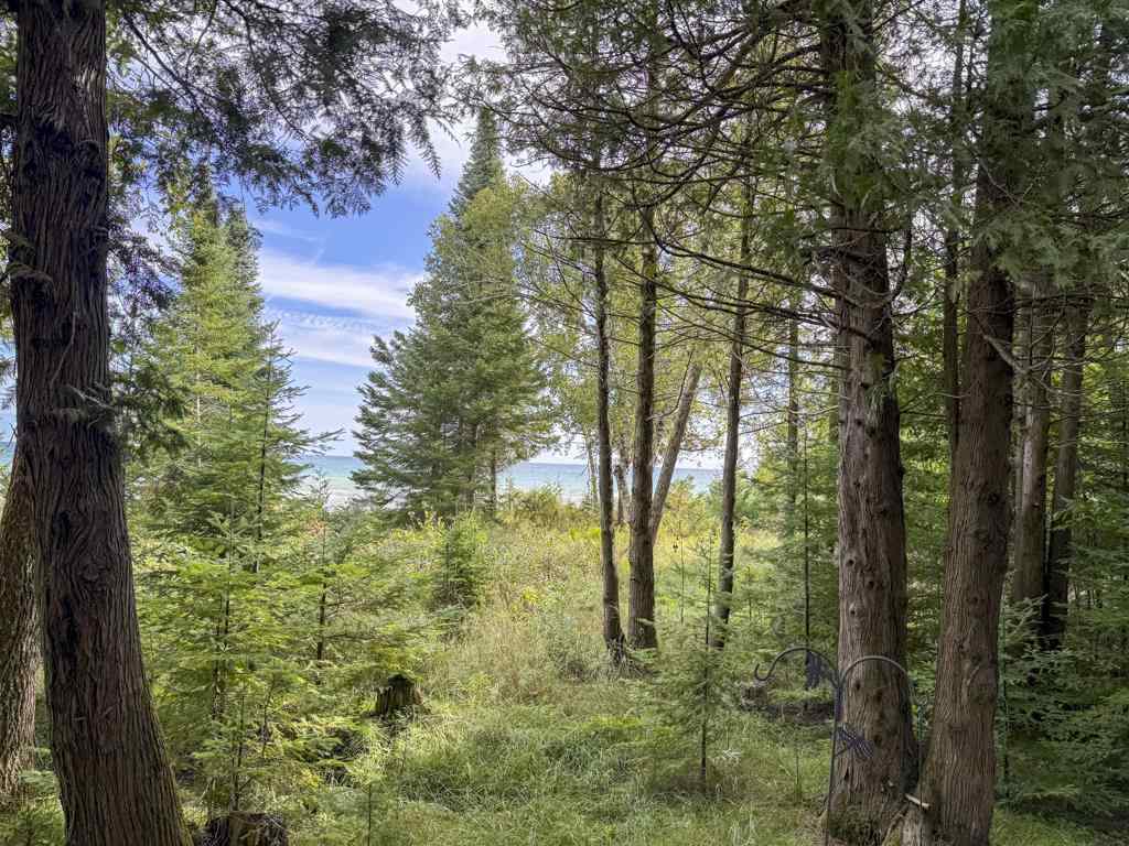 35540 Jewell Drive Beaver Island MI 49782