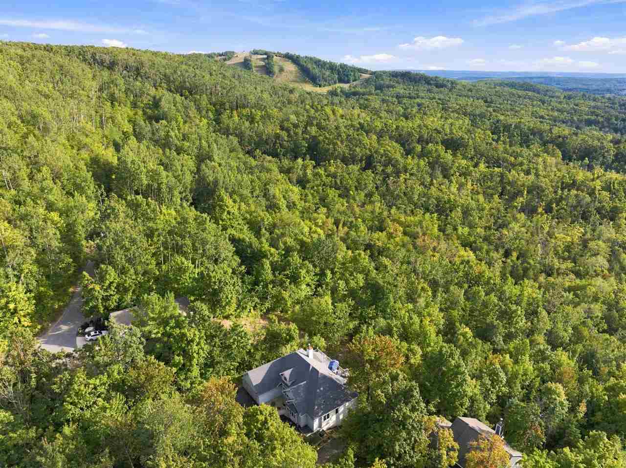 4749 S Pleasantview Road Harbor Springs MI 49740